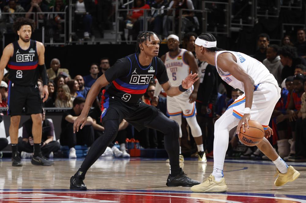 中进行的马 中进行的马